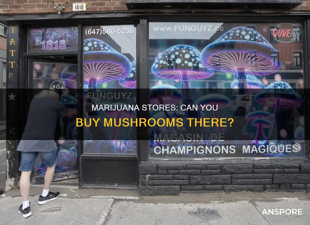 are their mushrooms at marijuanastore