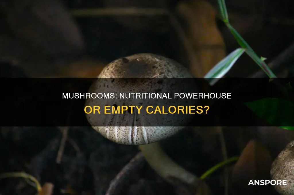 are there any calories in fresh mushrooms