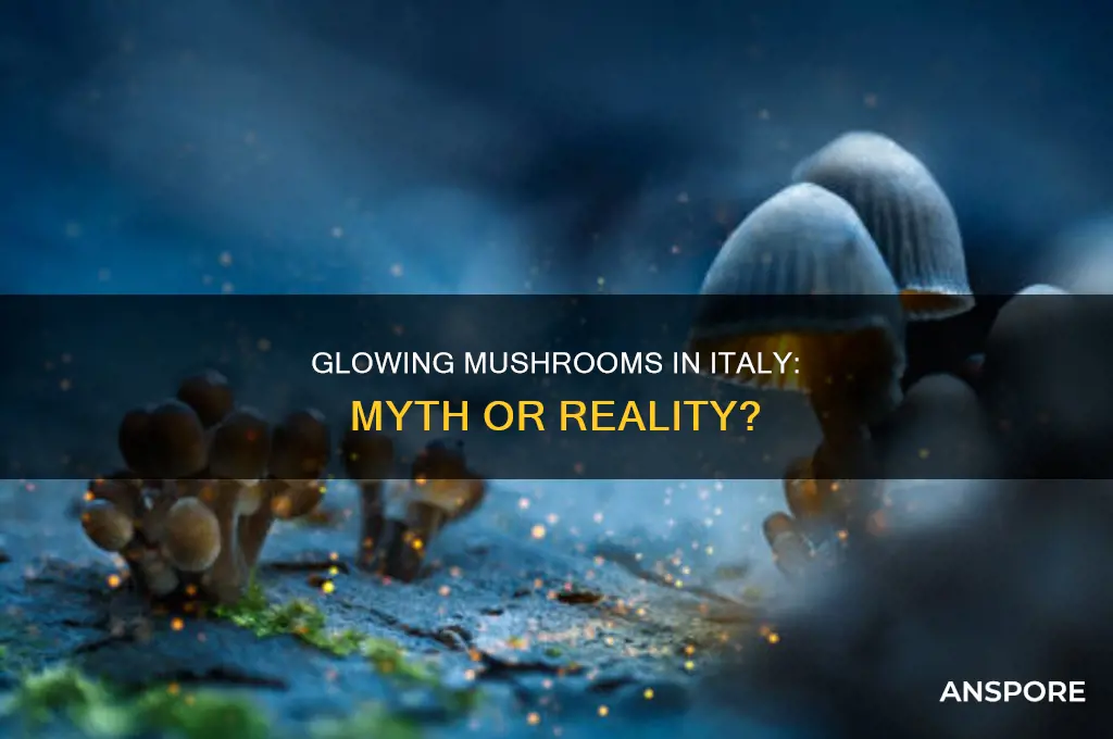 are there any glowing mushrooms in italy