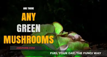 Green Mushrooms: Fact or Fiction?