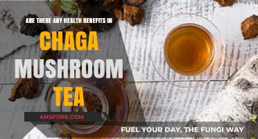 Chaga Mushroom Tea: Healthy Brew or Hype?