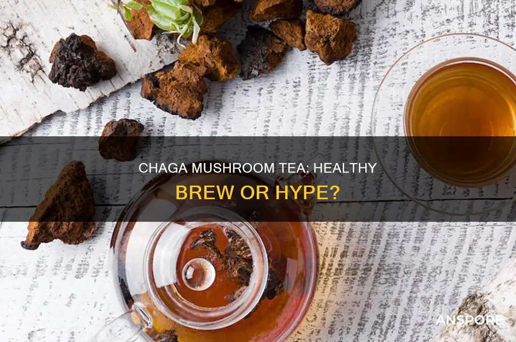 are there any health benefits in chaga mushroom tea