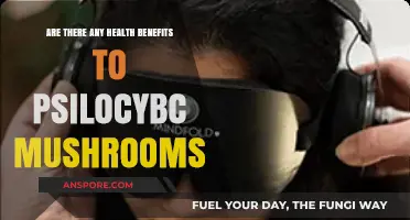 Psilocybin Mushrooms: A Healthy Trip?