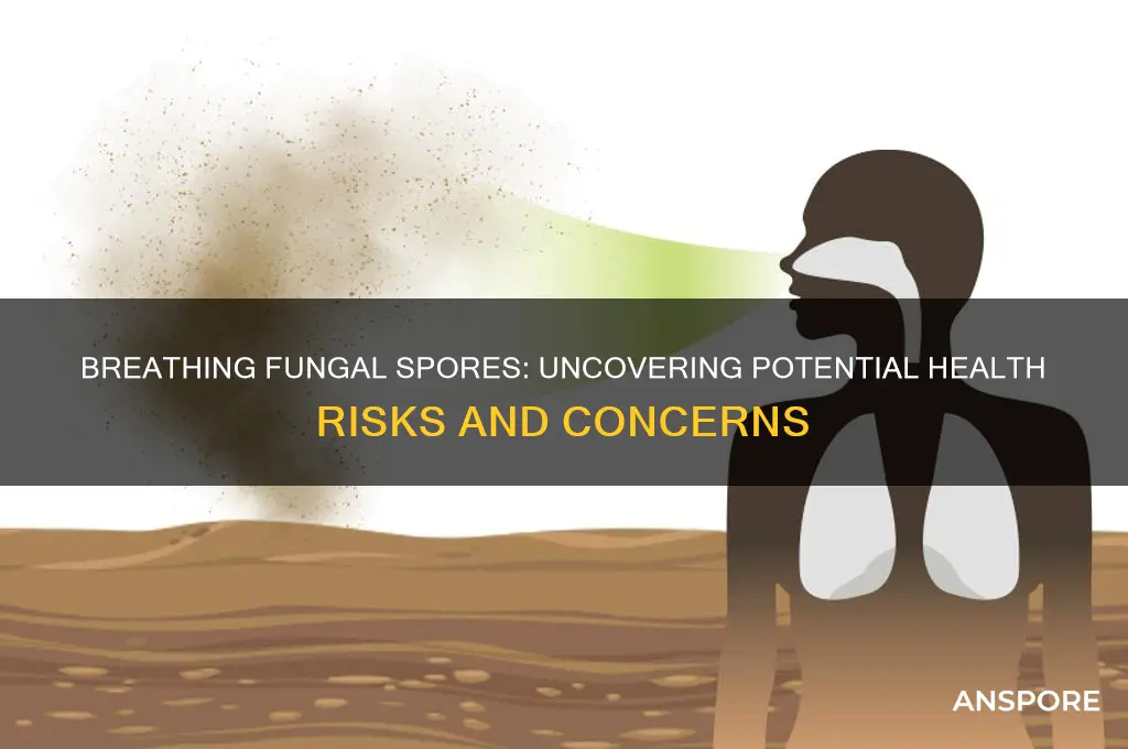 are there any health risks breathing fungal spores