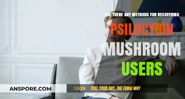 Healing from Psilocybin: Recovery Methods and Techniques