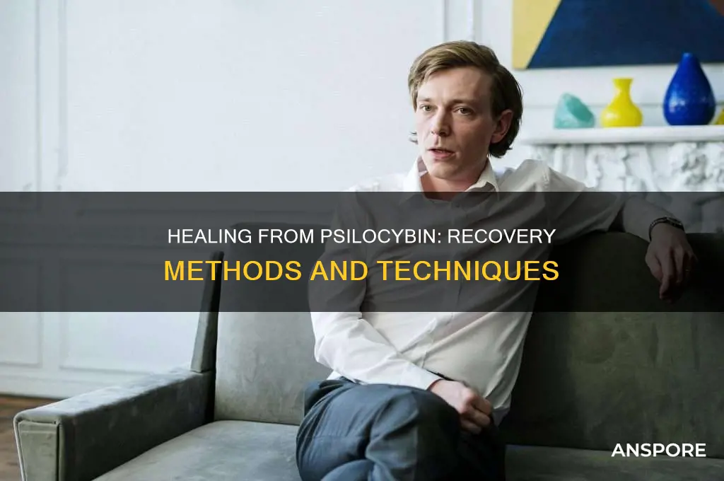 are there any methods for recovering psilocybin mushroom users