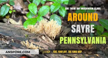 Mushroom Hunting: Clubs near Sayre, Pennsylvania