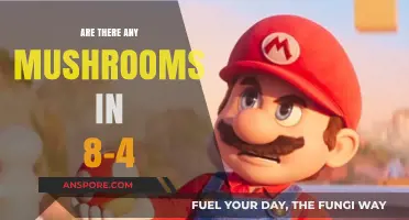 Mushrooms in Level 8-4: Where Are They?