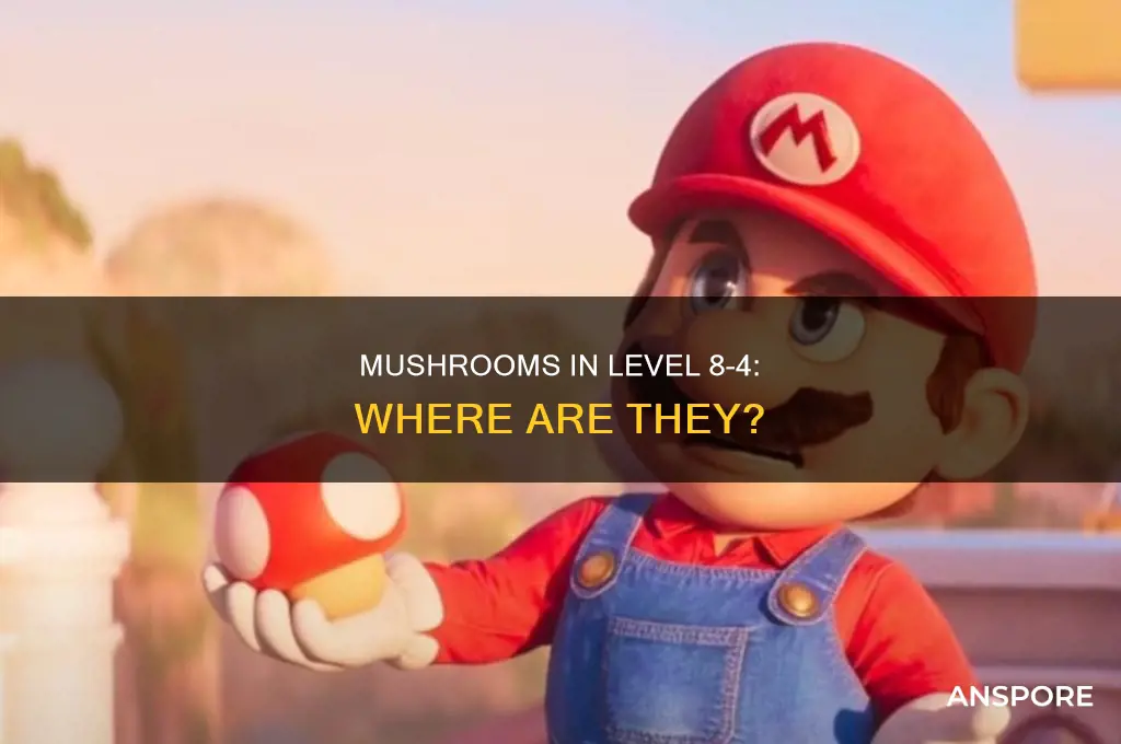 are there any mushrooms in 8-4