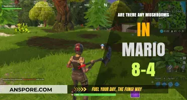 Mushrooms in Mario 8-4: Where Are They?