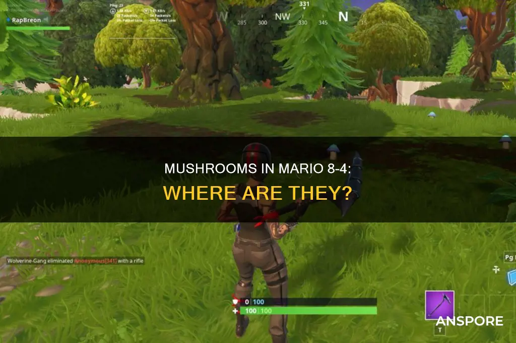 are there any mushrooms in mario 8-4