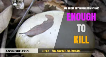 Deadly Mushroom Varieties: Toxic and Fatal Fungi