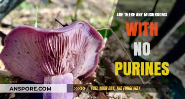 Mushrooms Without Purines: A Healthy Treat?