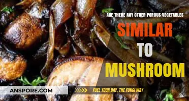 Porous Veggies: What's Similar to Mushrooms?