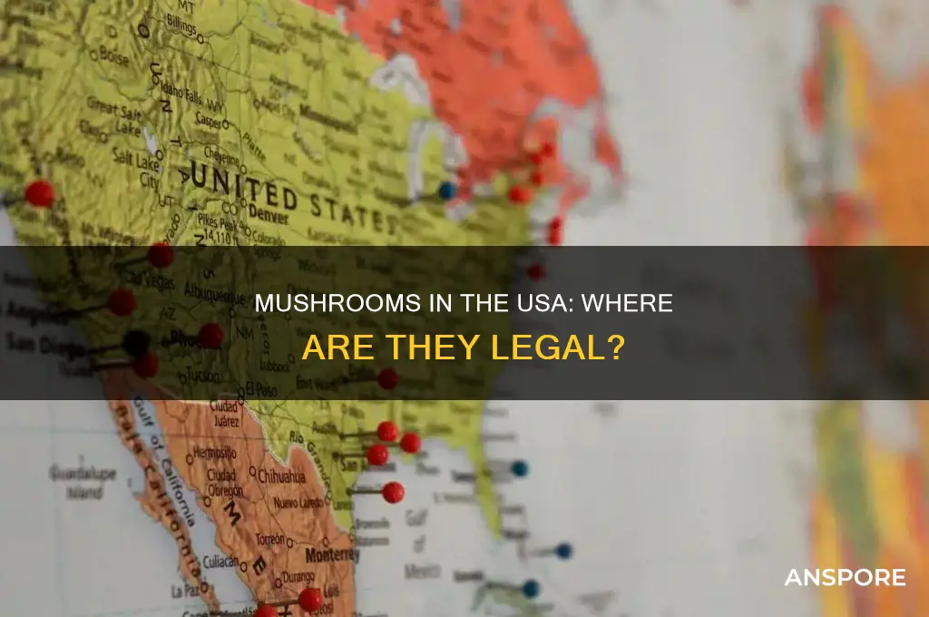 are there any places in usa that mushrooms are legalk
