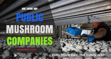 Public Mushroom Companies: Exploring the Fungi Industry