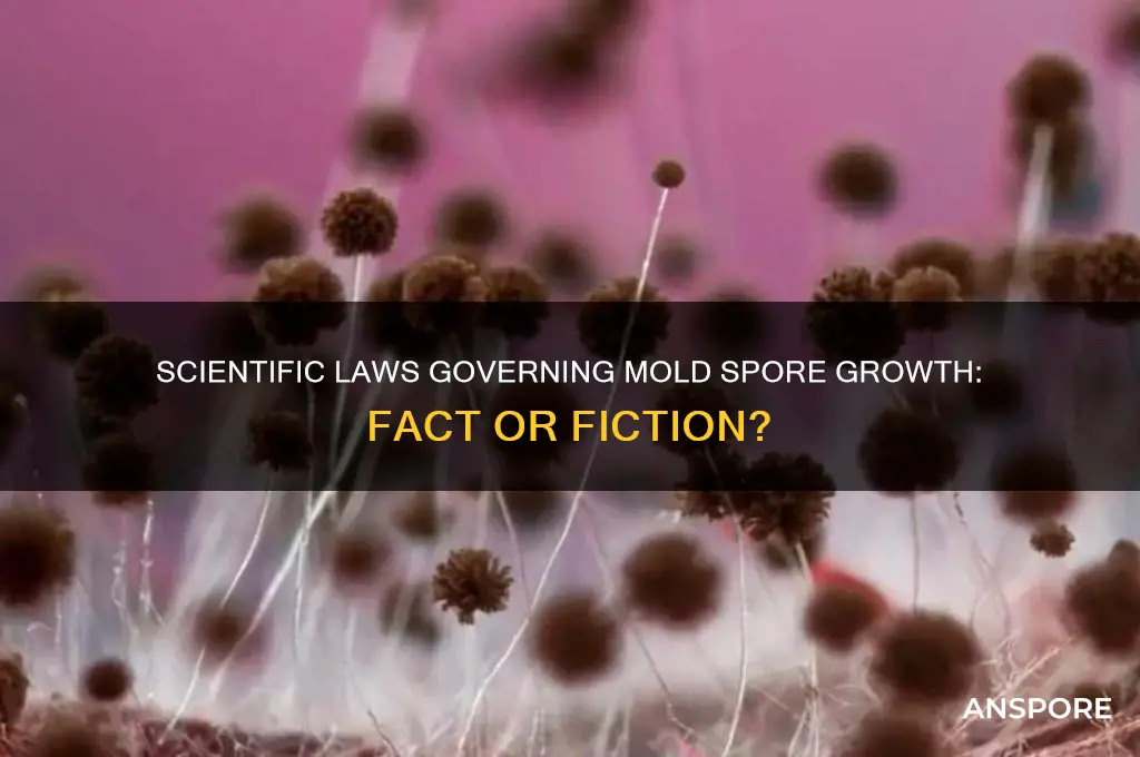 are there any scientific laws on mold spore growth