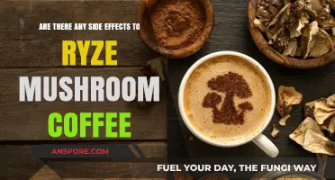 Ryze Mushroom Coffee: Side Effects and Benefits