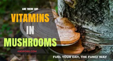 Mushrooms: Nature's Vitamin Powerhouses