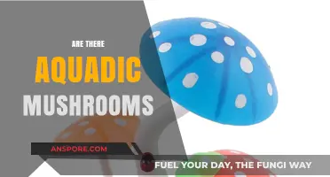 Mushrooms Under the Sea: Do They Exist?