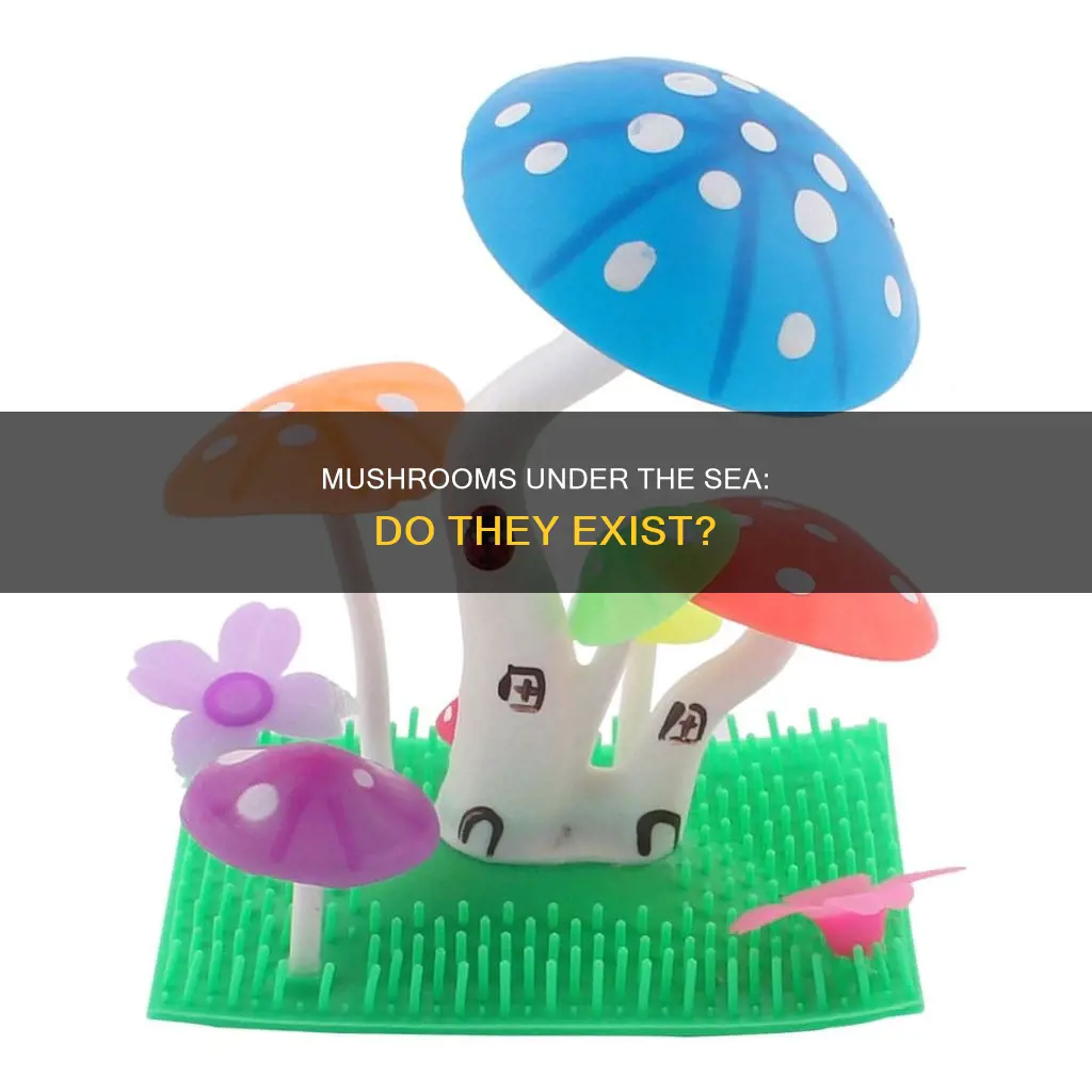 are there aquadic mushrooms