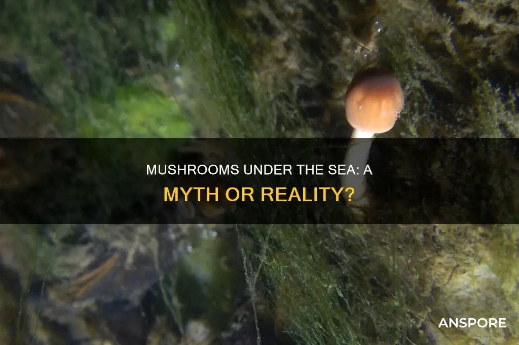 are there aquatic mushrooms