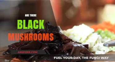 Black Mushrooms: Do They Exist?