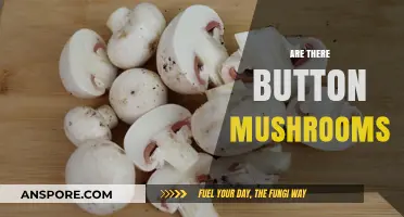 Button Mushrooms: Are They Real?