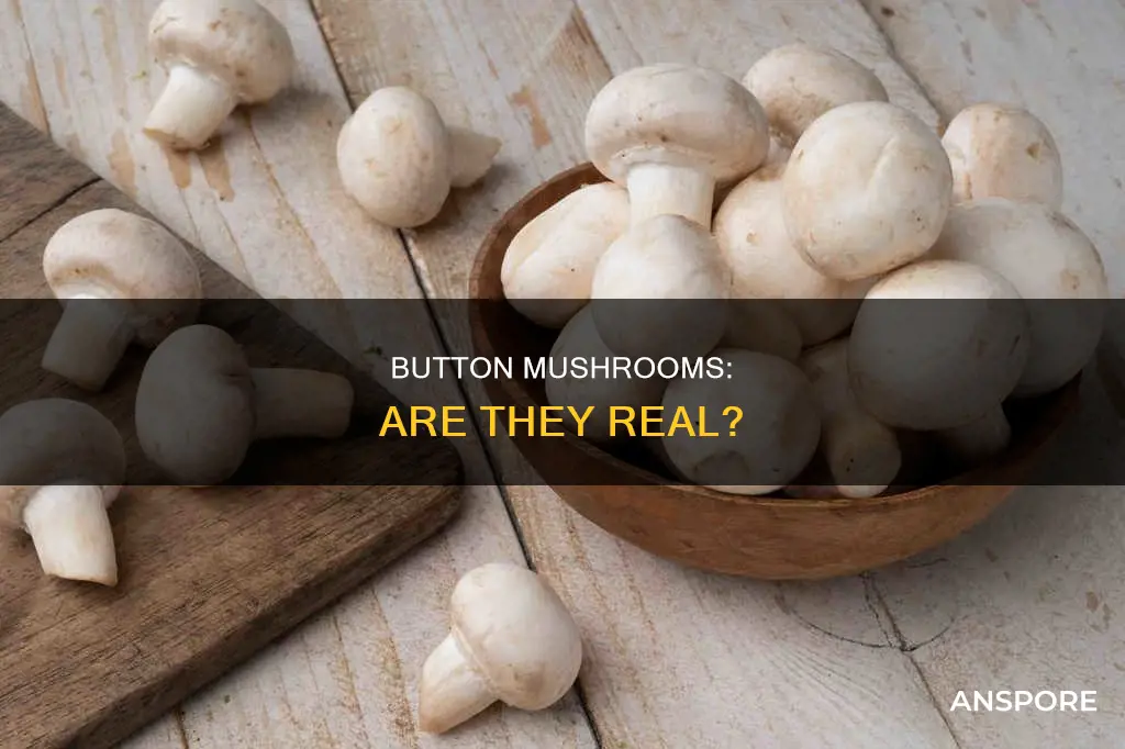 are there button mushrooms