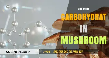 Mushrooms: Carbohydrates or Not?