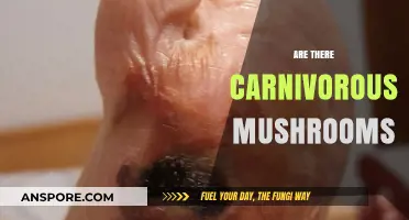 Meat-Eating Fungi: Are Carnivorous Mushrooms Real?