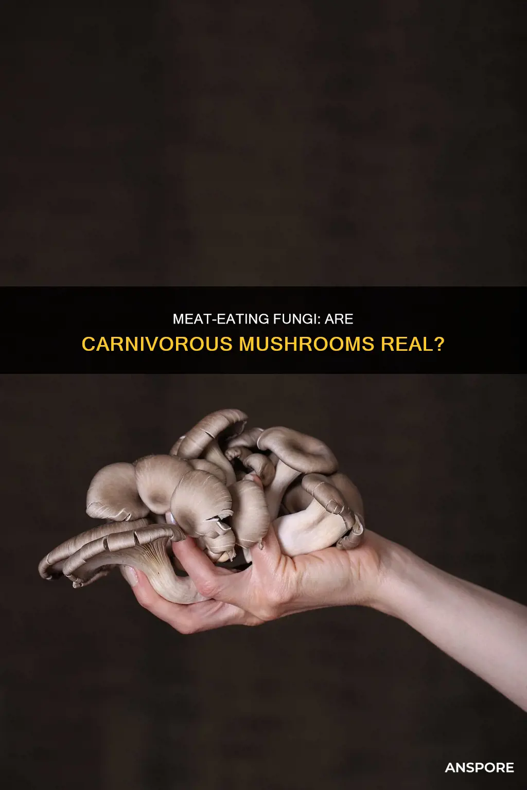 are there carnivorous mushrooms