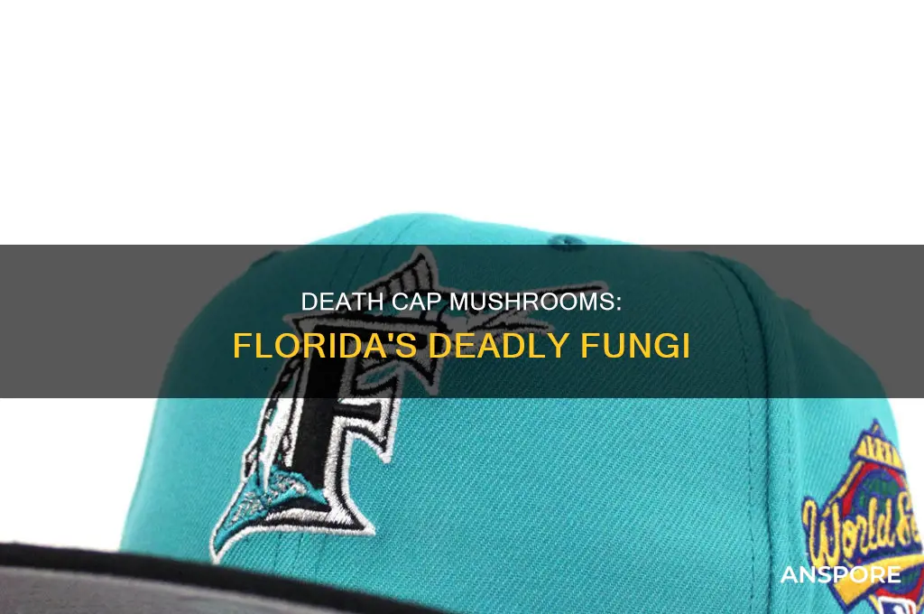 are there death cap mushrooms in florida