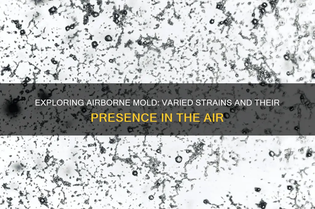 are there different strains of mold spores in the air
