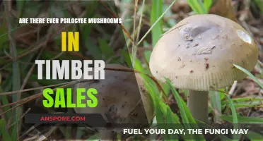 Finding Magic Mushrooms in Timber Sales
