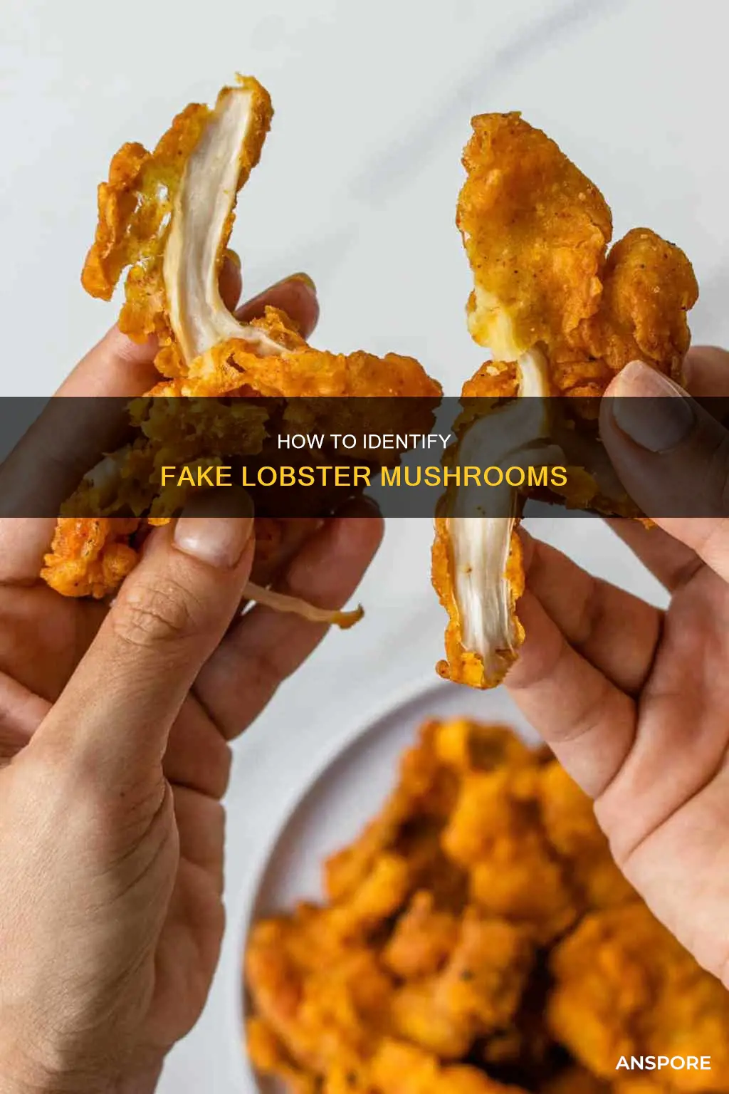 are there fake lobster mushrooms