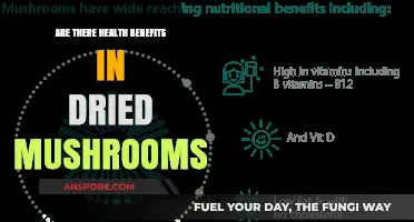 Dried Mushrooms: Healthy Superfood or Just a Fad?