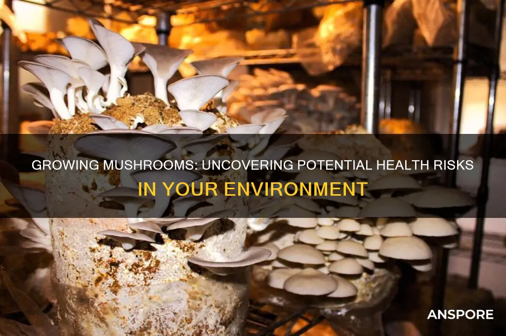 are there health risks in being around growing mushrooms