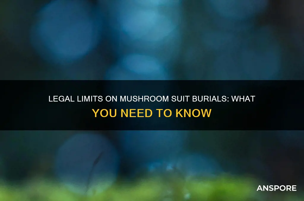 are there legal restrictions on mushroom suit burial clothing