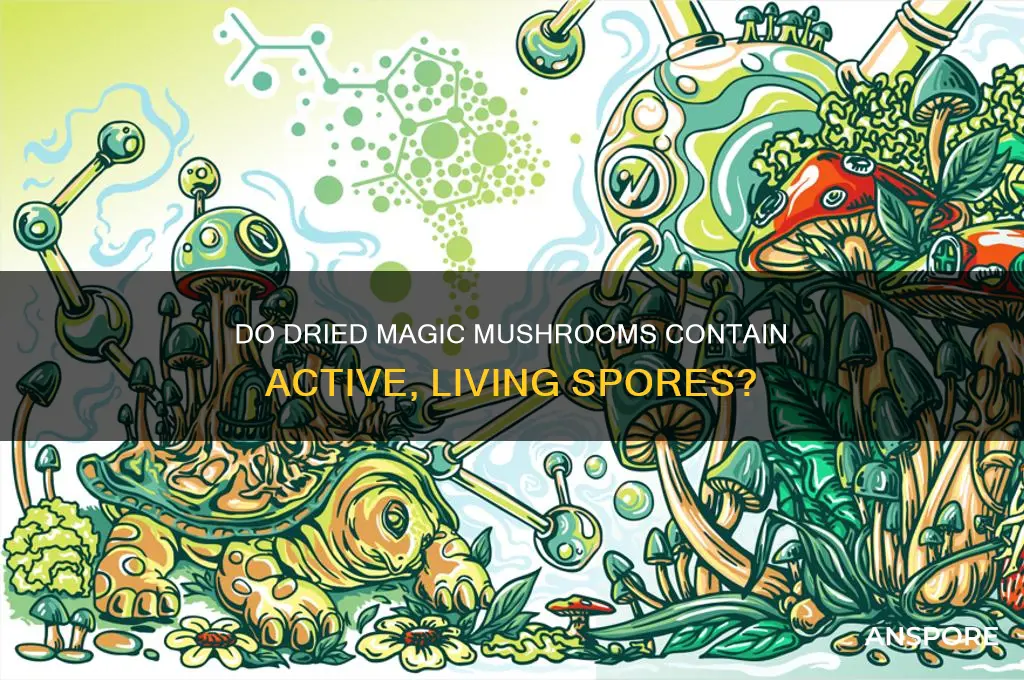 are there living spores in dried shrooms