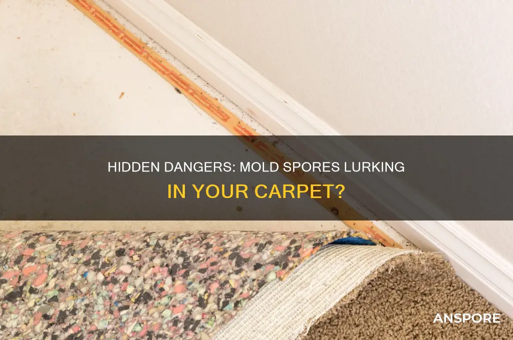 are there mold spores in my carpet
