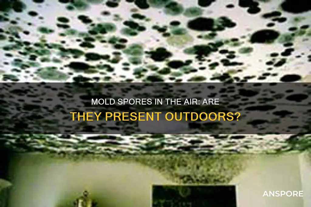 are there mold spores outside
