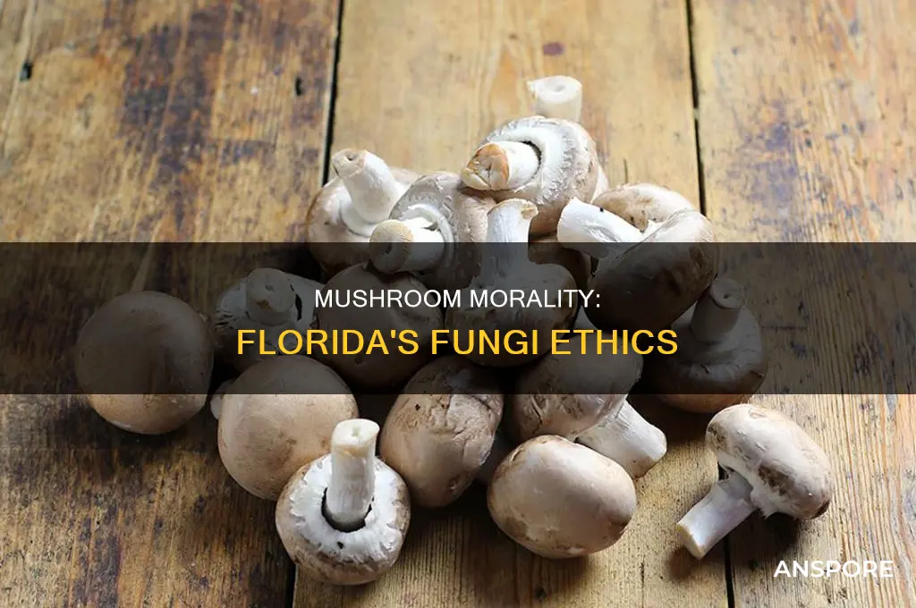 are there moral mushroom in florida