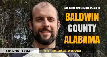 Magic Mushroom Ethics: Baldwin County's Dilemma