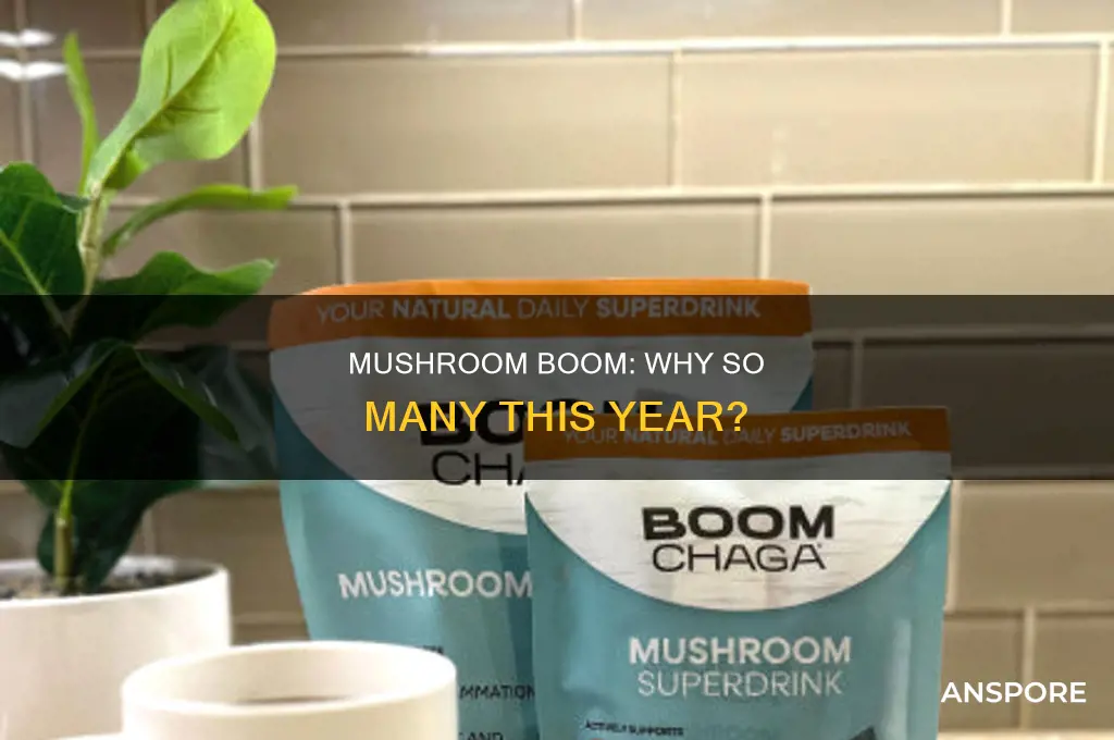 are there more mushrooms this year