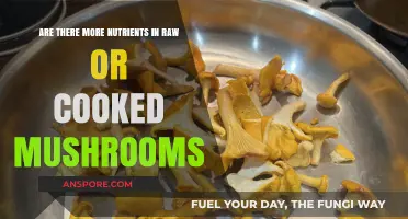 Raw vs. Cooked Mushrooms: Which Offers More Nutrients?