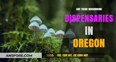 Mushroom Dispensaries in Oregon: Are They Legal?