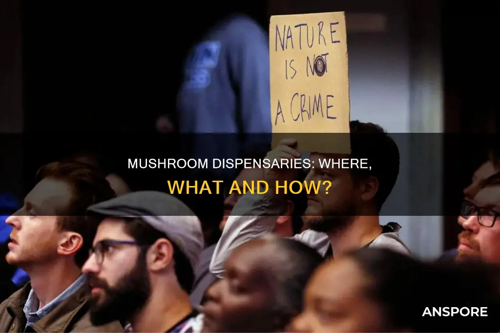 are there mushroom dispensaries