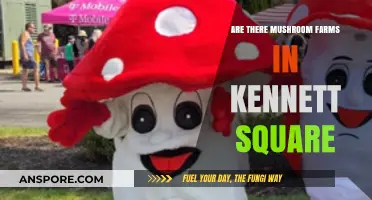 Mushroom Capital Kennett Square: Local Farms and More