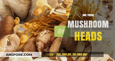 Mushroom Heads: Do They Exist?